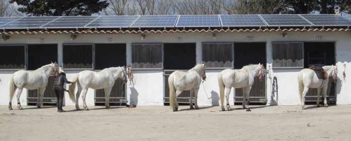 Solarwatt réalise une centrale PV en autoconsommation pour un hôtel en Camargue