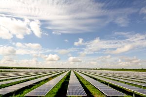 Neoen remporte 66 MWc de projets solaires en France