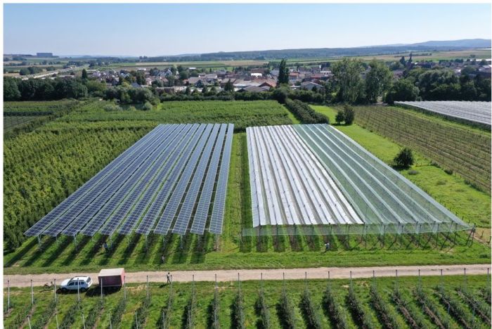 Premier système Agri-PV pour une culture fruitière neutre en CO2 en test en Allemagne