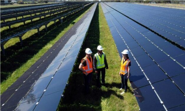 Neoen choisit Saft pour un stockage d’énergie solaire dans le sud de la France