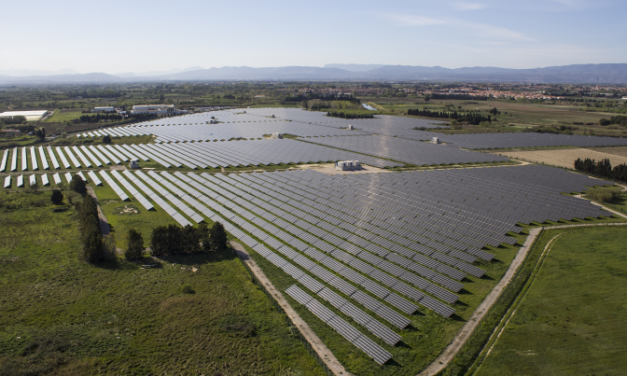 Neoen remporte 92,5 MWc de projets solaires en France