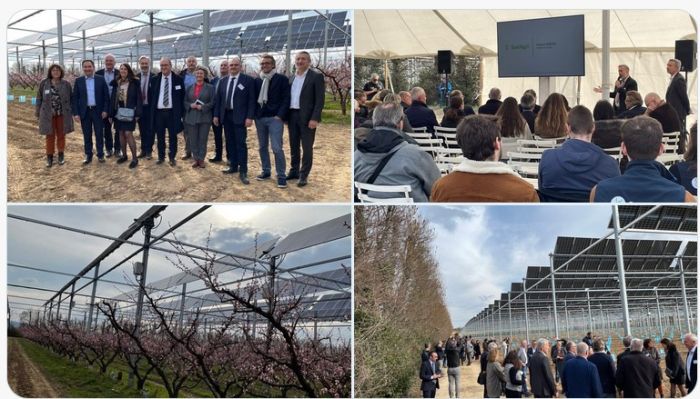 Inauguration d’une installation agrivoltaïque à Etoile-sur-Rhône pour l’arboriculture