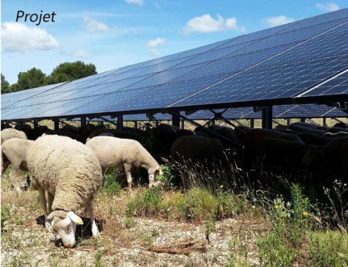 Voltalia construit le projet solaire innovant de Montclar
