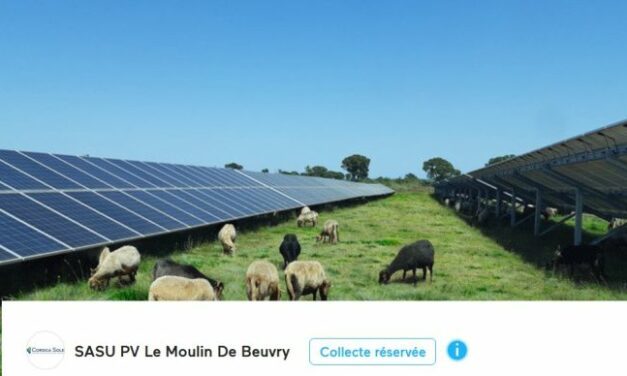 Corsica Sole lance une collecte de financement participatif pour une centrale solaire dans les Hauts-de-France