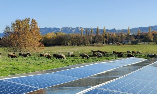 Clôture de la campagne de financement participatif pour le parc photovoltaïque de Saint-Rémy-de-Provence