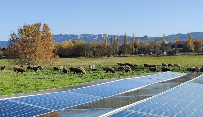 Clôture de la campagne de financement participatif pour le parc photovoltaïque de Saint-Rémy-de-Provence