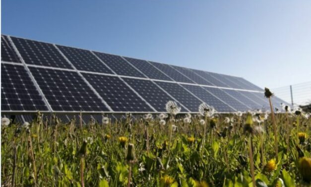 Lightsource bp vise 1 GW de projets solaires en France d’ici 2026
