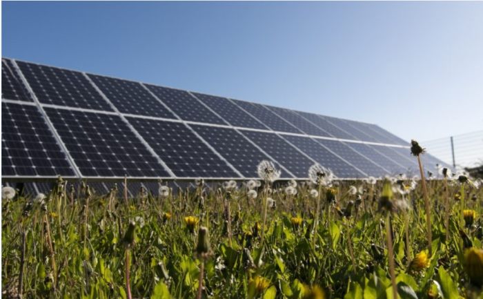 Lightsource bp vise 1 GW de projets solaires en France d’ici 2026