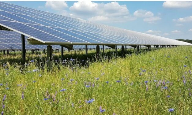 EnBW acquiert 400 MW de projets photovoltaïques dans le Brandebourg