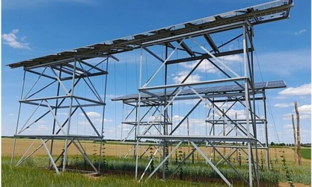 Q Energy France inaugure un prototype de houblonnière photovoltaïque en Vendée