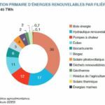Le photovoltaïque a contribué à 4% de la production primaire d’énergies renouvelables en 2021