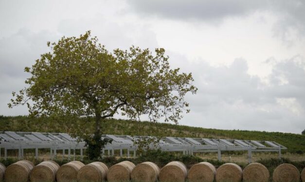 TotalEnergies et Ombrea mettent en service la 1ere unité expérimentale agrivoltaïque de l’Aude