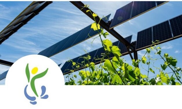 Sun’Agri lance un projet agrivoltaïque dans un lycée agricole à Carpentras