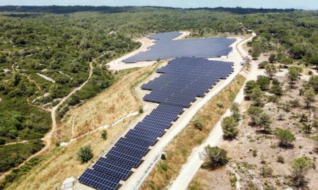 Le groupe ADP inaugure son premier parc solaire en France