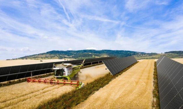 Deux parcs photovoltaïques construits par BayWa r.e. rendront le groupe Velux 100% renouvelable d’ici 2024