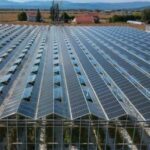 Reden lance un financement participatif pour deux serres agricoles photovoltaïques