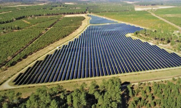 TDF signe avec Neoen un Corporate PPA portant sur 62 MW d’énergie solaire en France