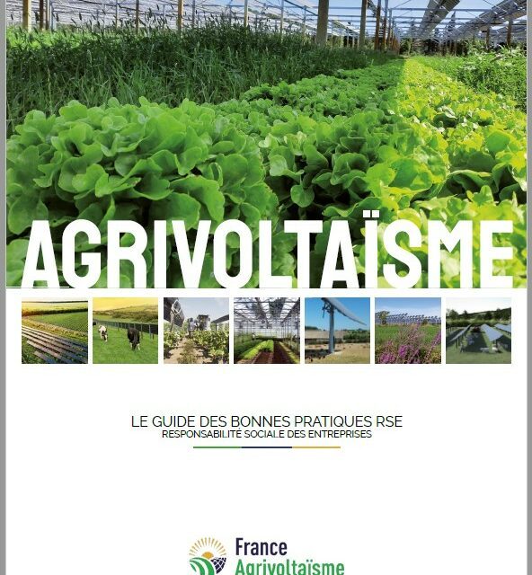 France Agrivoltaïsme publie le Guide des Bonnes pratiques RSE de l’agrivoltaïsme