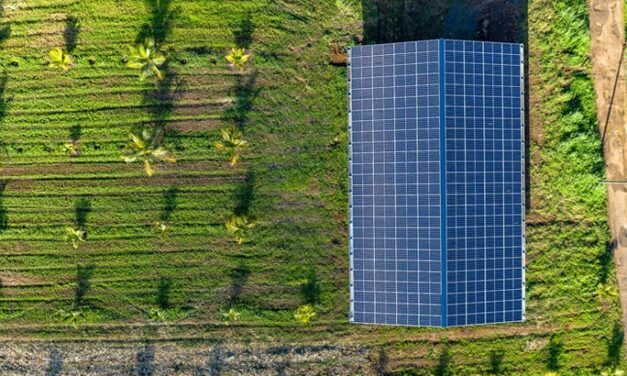 GreenYellow sécurise un financement de 31 M€ pour 55 centrales photovoltaïques