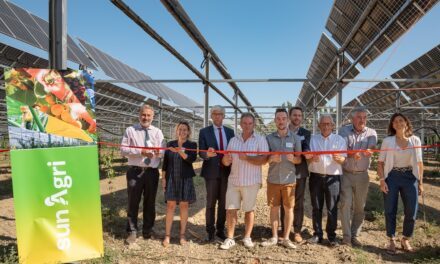 Sun’Agri inaugure un dispositif agrivoltaïque sur 2,7 hectares de cerisiers