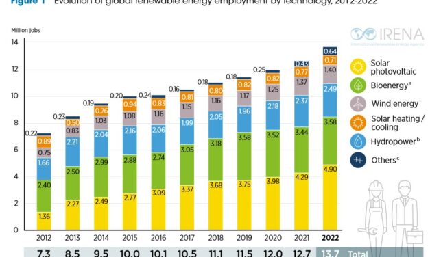 13,7 millions d’emplois dans le monde dans les énergies renouvelables en 2022, dont 4,9 millions pour le photovoltaïque