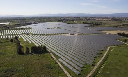 Neoen remporte 238,5 MWc de nouveaux projets solaires en France