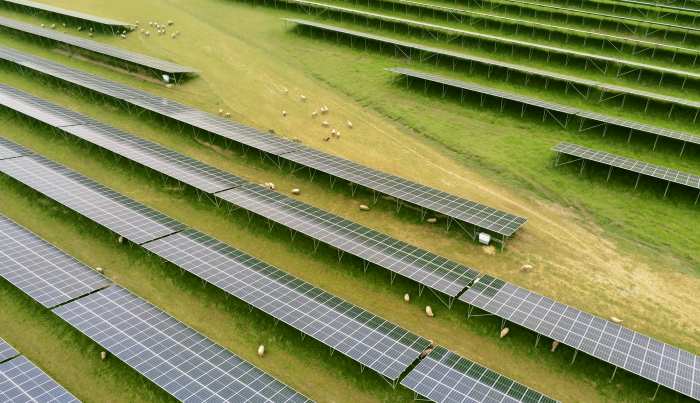 Neoen remporte 104,4 MWc de nouveaux projets solaires en France