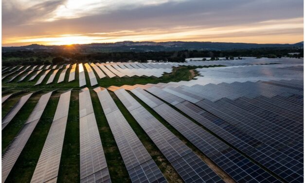 EDP va installer chez Decathlon jusqu’à 80 centrales solaires dans six pays européens
