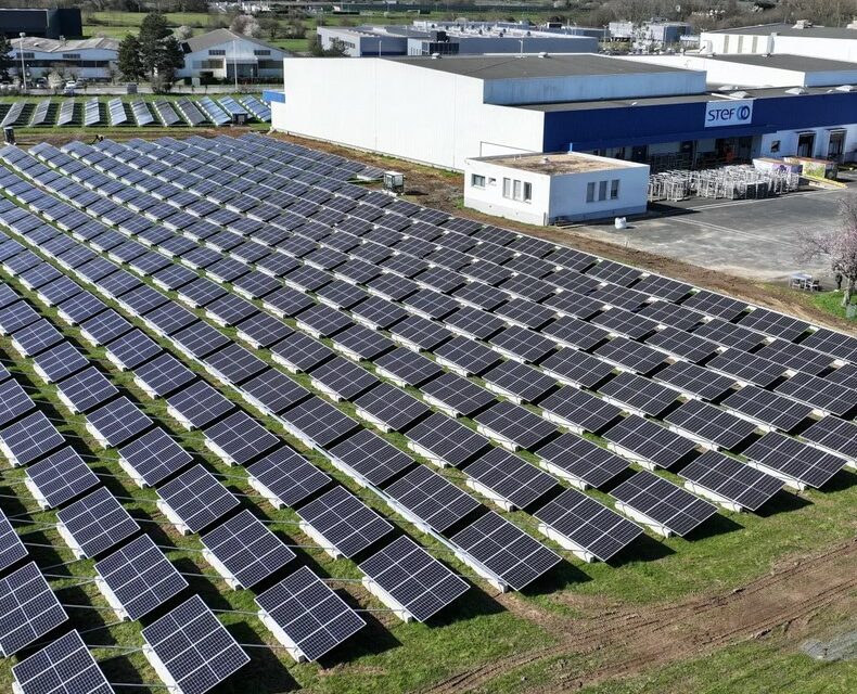 Blue EnerFreeze choisit VMH Energies pour la réalisation de dix centrales photovoltaïques au sol