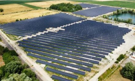 TotalEnergies inaugure sa première centrale solaire en Alsace à Oberhoffen-sur-Moder (Bas-Rhin)