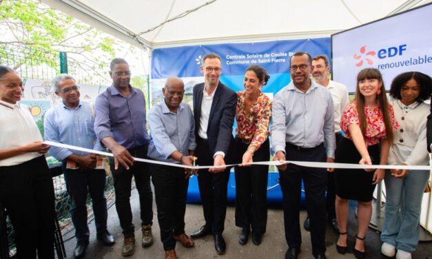EDF Renouvelables inaugure une centrale solaire sur une coulée de lave en Martinique