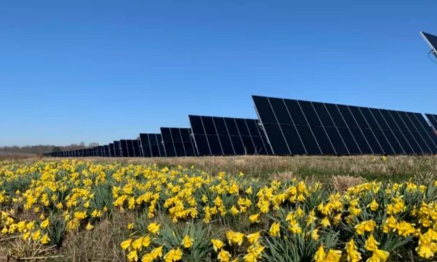 Innergex remporte les six projets agrivoltaïques du portefeuille Grenier des Essences