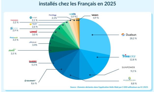 Parts de marché 2025 des fabricants de panneaux solaires – les Français renforcent leur position, selon Hello Watt