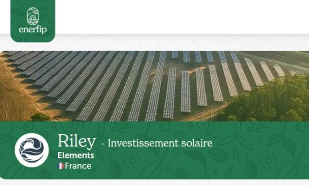 Elements annonce le lancement de la collecte Riley sur Enerfip