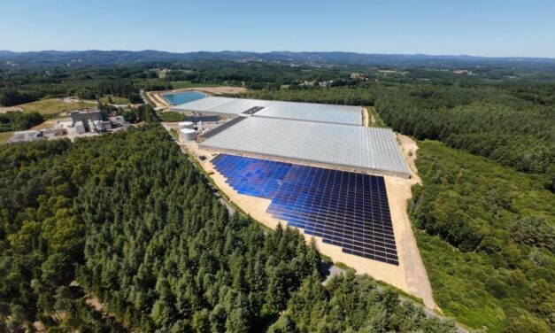 Newheat met en service la plus grande centrale solaire thermique dédiée à la culture maraîchère en serres chauffées en France