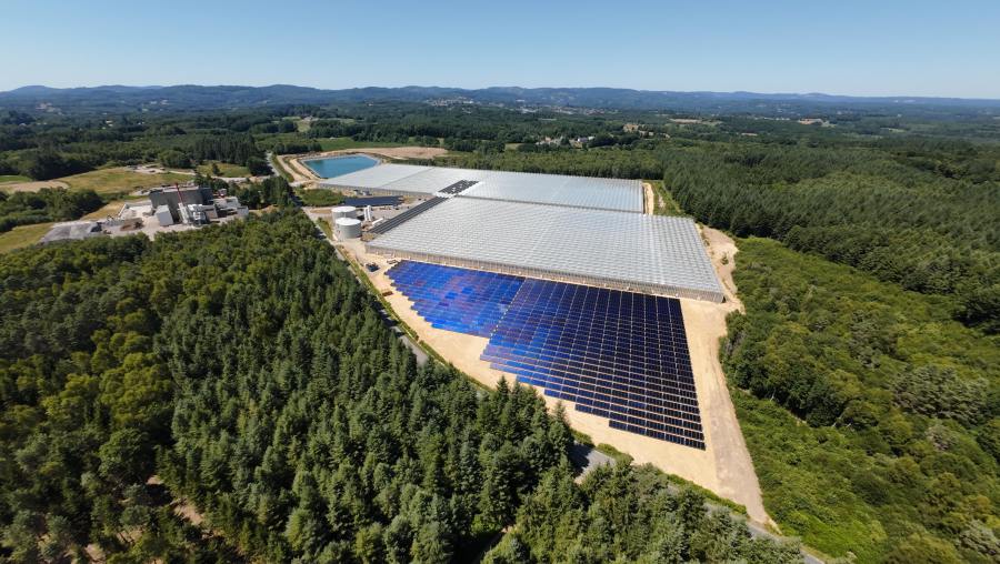 Newheat met en service la plus grande centrale solaire thermique dédiée à la culture maraîchère en serres chauffées en France