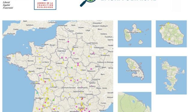Le gouvernement annonce la création de l&rsquo;Observatoire de l&rsquo;Agrivoltaïsme