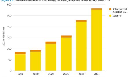 Les investissements mondiaux dans le solaire ont bondi de 49% en 2024