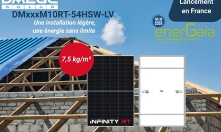 DMEGC Solar présente un module PV affichant un poids inférieur à 7,5 kg/m²