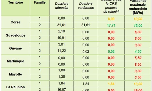 Cinq lauréats pour la 4e période de l’appel d’offres « 2023 PV ZNI »