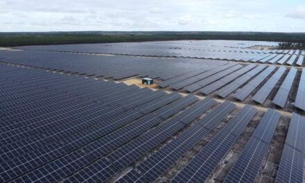 TotalEnergies met en service sa plus grande centrale solaire en Nouvelle-Aquitaine