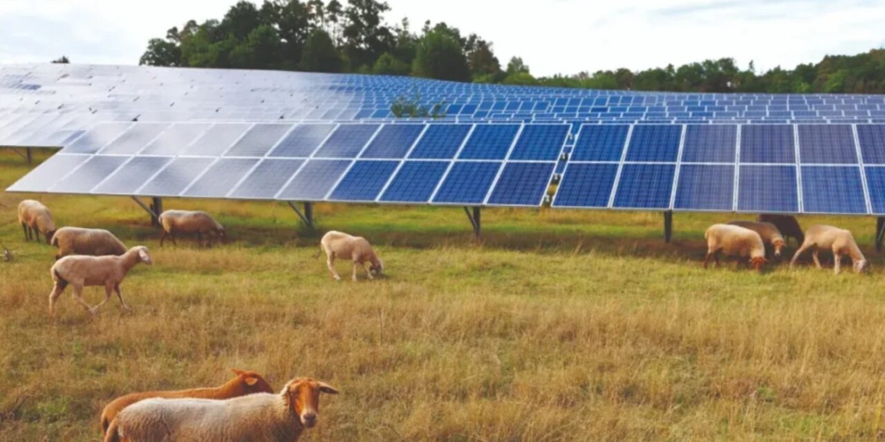Altarea livre la centrale solaire de Caudecoste