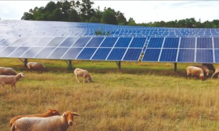 Altarea livre la centrale solaire de Caudecoste