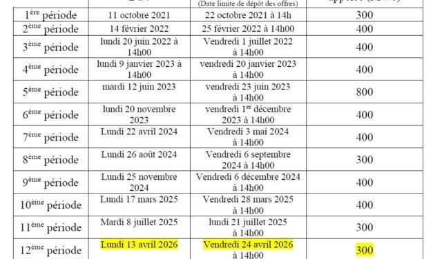 300 MWc appelés pour la 12e période de l’appel d’offres PV Bâtiment