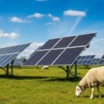 Ferme Solaire : « pour les développeurs, la PPE3 ne sauve pas le solaire français, elle le force à grandir »