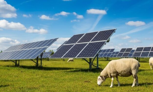 Ferme Solaire : « pour les développeurs, la PPE3 ne sauve pas le solaire français, elle le force à grandir »