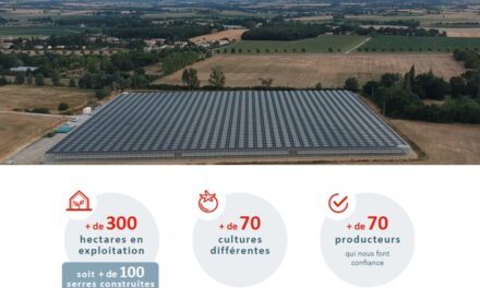 Reden inaugure une serre agrivoltaïque de 2,7 hectares dans l’Aude