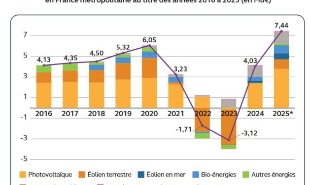 Soutien aux EnR : la Cour des comptes recommande de mieux suivre les rémunérations des producteurs pour en maîtriser le coût pour l’État