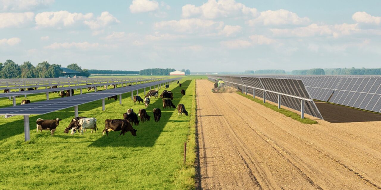 Agrivoltaïsme : JPee et Crédit Agricole Transitions & Énergies créent une plateforme commune