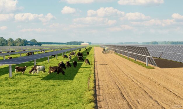 Agrivoltaïsme : JPee et Crédit Agricole Transitions & Énergies créent une plateforme commune